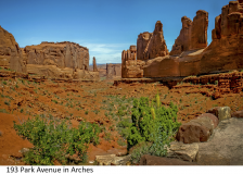 193 Park Avenue in Arches