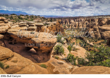 206b Bull Canyon preview