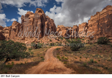 281 Bull Canyon preview