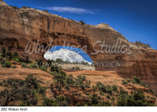 282 Wilson Arch preview
