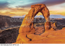 422 Delicate Arch DP E LIC preview