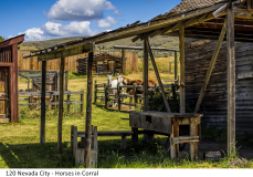 120 Nevada City - Horses in Corral