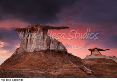 456 Bisti Badlands preview