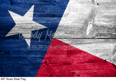 497 Texas State Flag preview