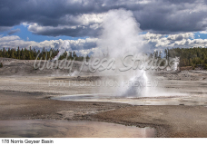 178 Norris Geyser Basin preview