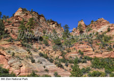 360 Zion National Park preview