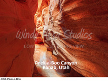 409b Peek-a-Boo preview
