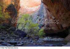 415b The Narrows Zions preview