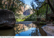 459a Zion Emerald Pools preview